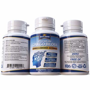 Brain Supplement Memory Booster ADHD  Mental Focus Ginkgo Biloba 60 Capsules